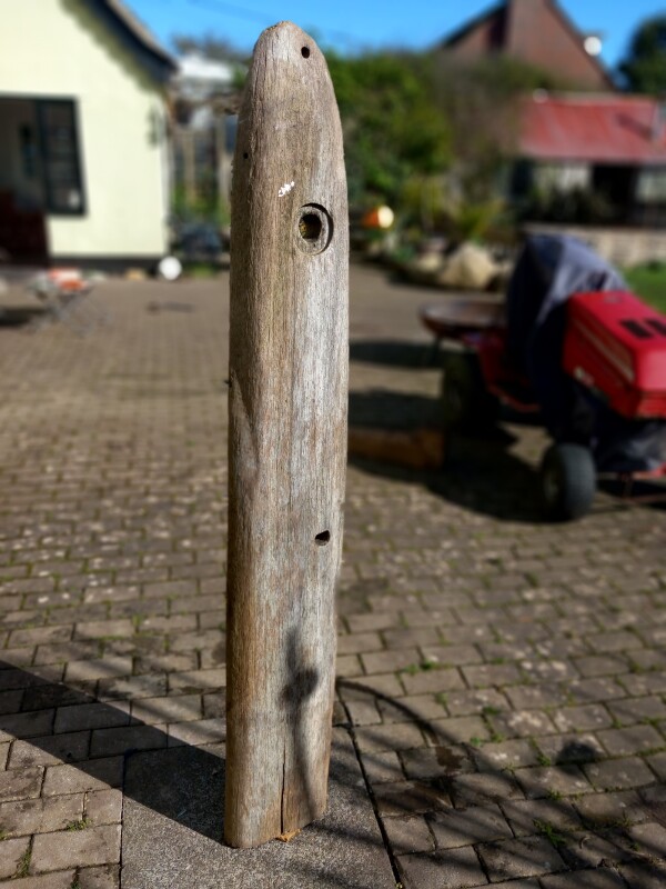 driftwood image